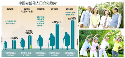 关注人口老龄化统计图_初一关注人口老龄化