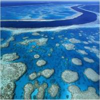 世界最大珊瑚礁