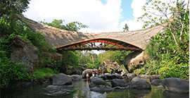 巴厘岛绿色竹子建筑学校